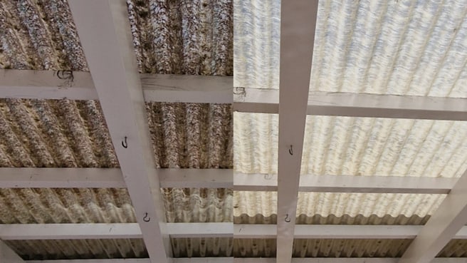 Immagine Molim Service