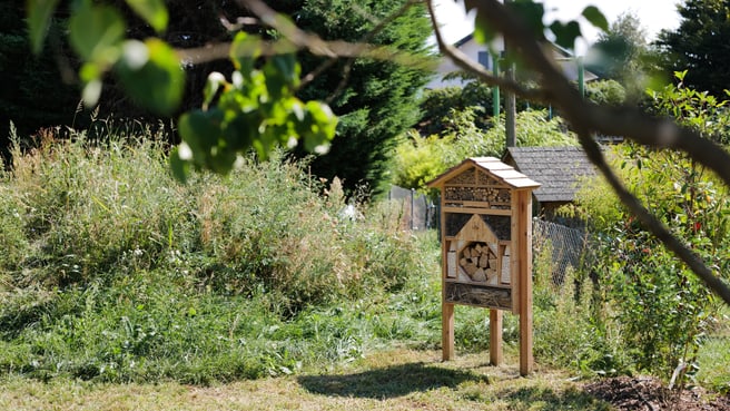 Image Mille et un Jardins