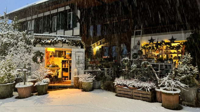 Töpferei u- Blumen Steiner GmbH image