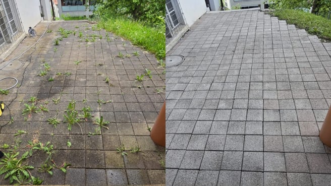 Immagine Molim Service