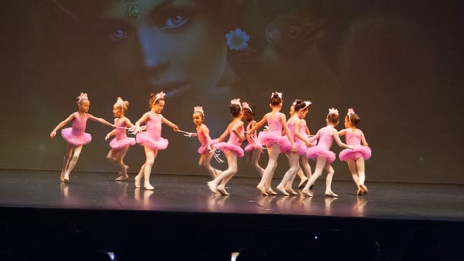 Image Centro del Balletto