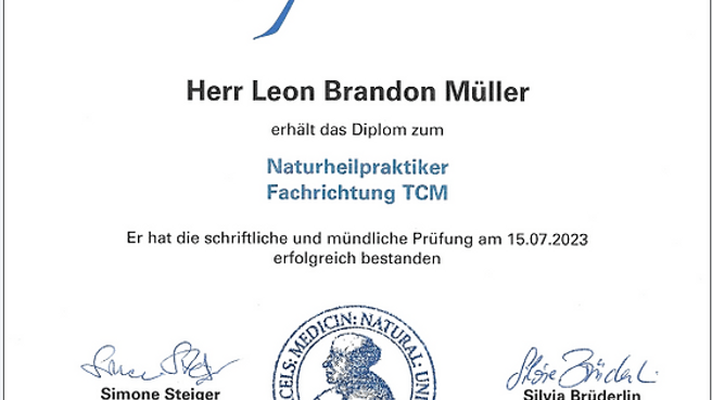 Gentle Lion Massage image