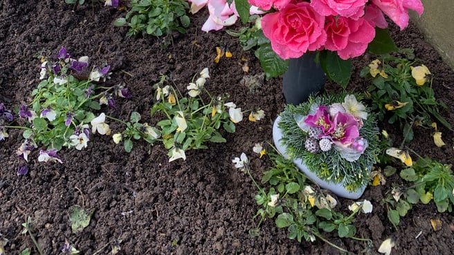 Kraut & Rosen GmbH image