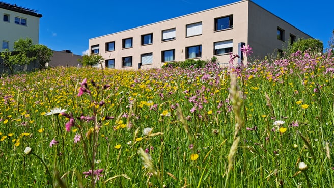 Wohn- und Pflegezentrum Au image