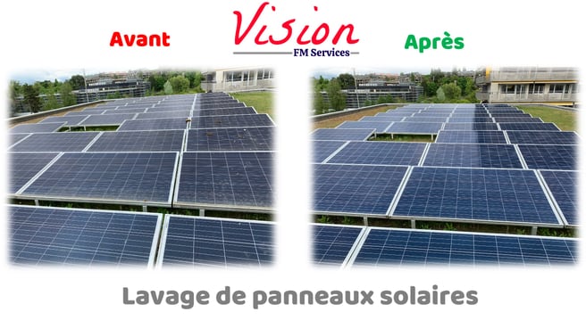 Image Vision FM Services