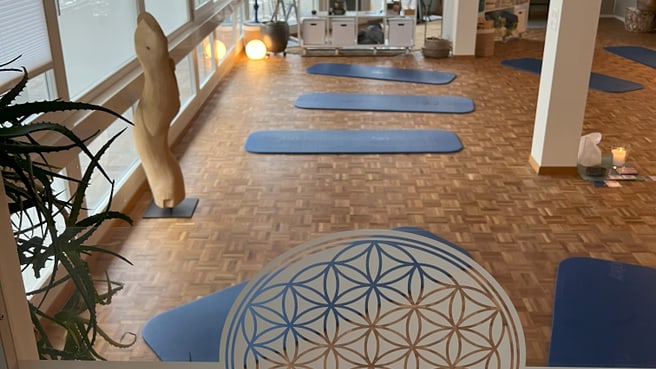 Bild YOGA ANJALI - Hatha Yoga & Yogatherapie Frauenfeld