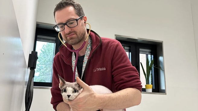 Immagine La Trinità Ospedale Veterinario