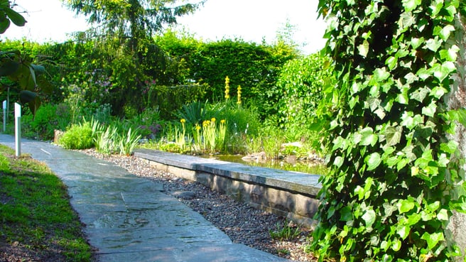 Bild LEDER Garten- + Landschaftsbau