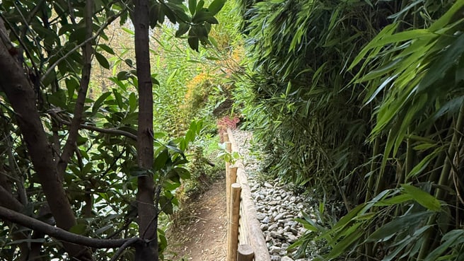 Image dolcemara sagl