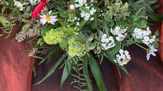 Bild Blumen & Pflanzen Vreni Zürcher