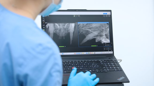 Bild Kleintierpraxis Vivavet GmbH