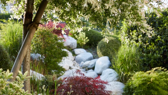 Image Mille et un Jardins