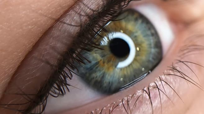 Bild Life Quality Institut