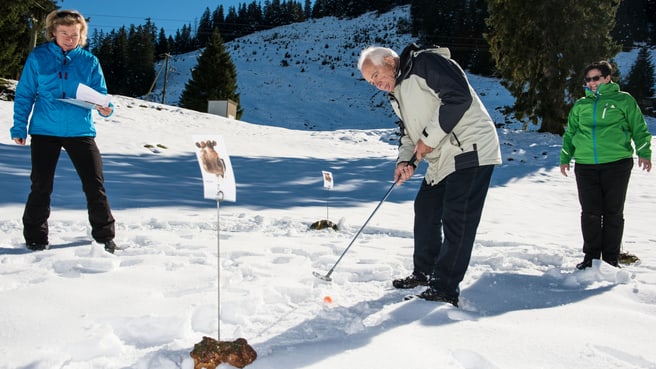 Goldrush Events Schweiz image