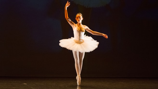 Immagine Centro del Balletto