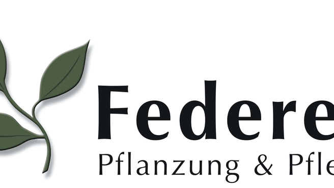 Bild Federer Pflanzung und Pflege
