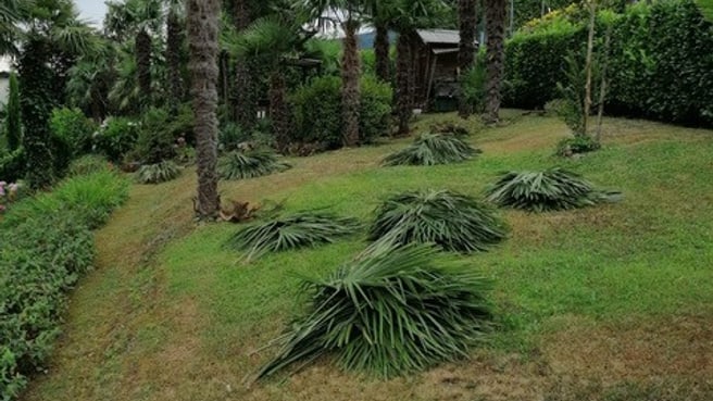 Immagine CR GIARDINI di Campisano Rosario