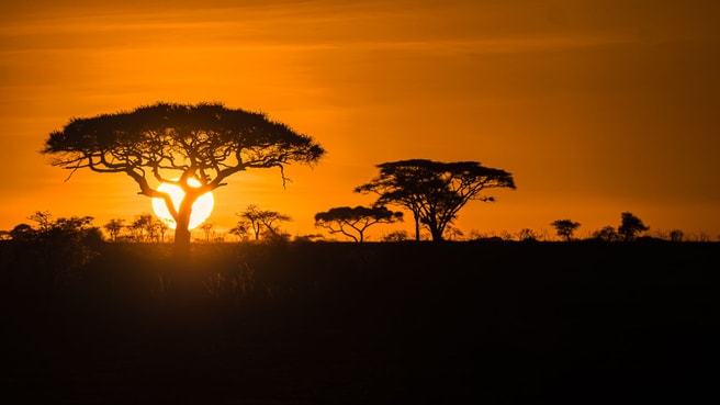 Image Twende Tanzania Safari GmbH