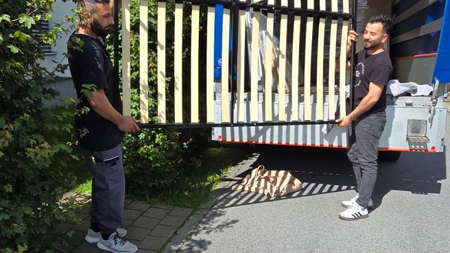 Immagine Molim Service