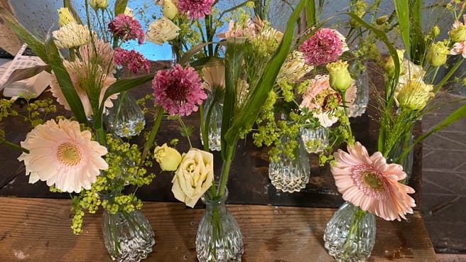 natürlianderscht image