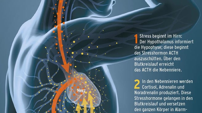 Bild relax.care - Beratung für Stress- und Selbstmanagement, med. Autogenes Training nach Dr. Schultz, med. Progressive Muskelentspannung nach Dr. Jacobson, med. Achtsamkeitsinterozeption 'Achtsamkeitsmeditation, QiGong in Stille''