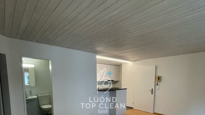 Lüönd Top Clean GmbH image