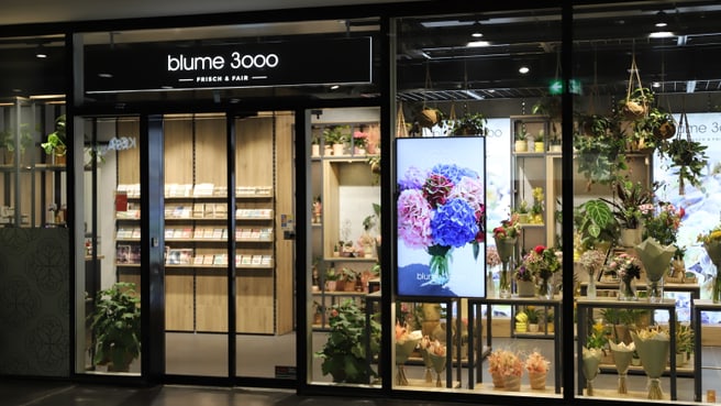 Bild blume 3000 | Aarau