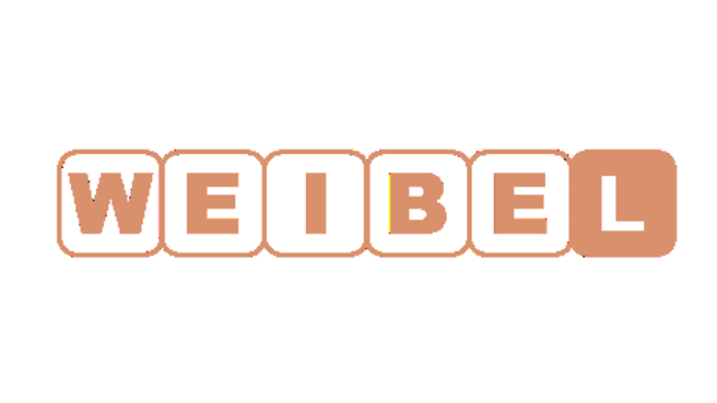 Fahrschule Weibel image