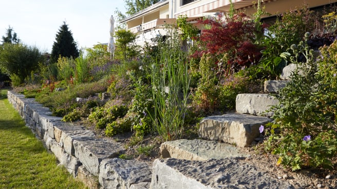 Image Mille et un Jardins