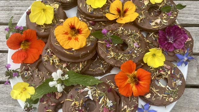 Fahr- und Flugschule Daniel Raffelsberger 🚗✈️ image