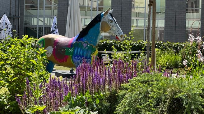 Image Betagtenzentrum Laupen