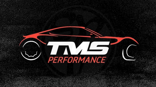 TMS Performance image