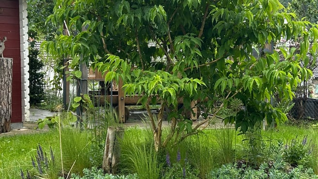 Image LUTZ Gartendesign GmbH