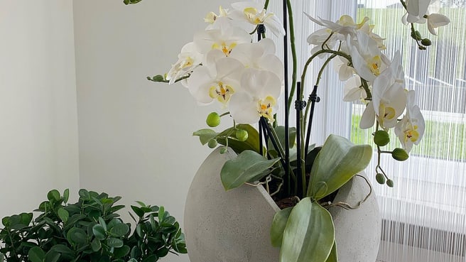 Bild flowerwerK