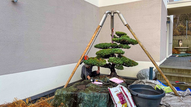 Immagine Terza Natura GmbH