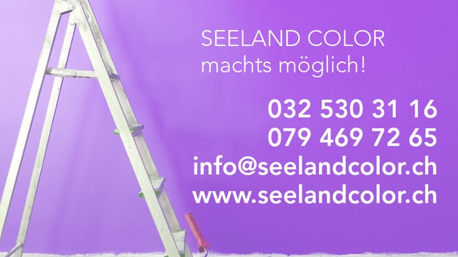 Seeland Color Maler- und Gipsergeschäft Hügli image