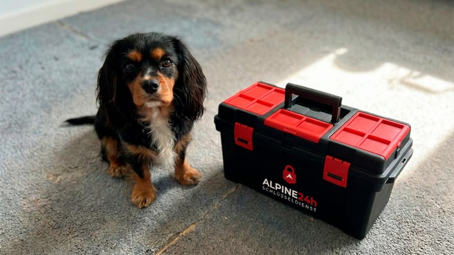 Alpine24h - Schlüsseldienst image