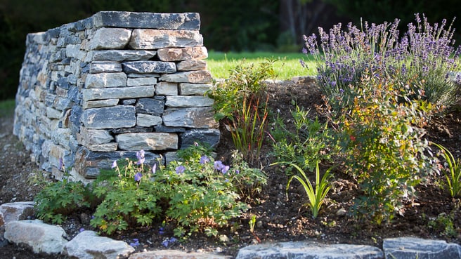 Image Mille et un Jardins