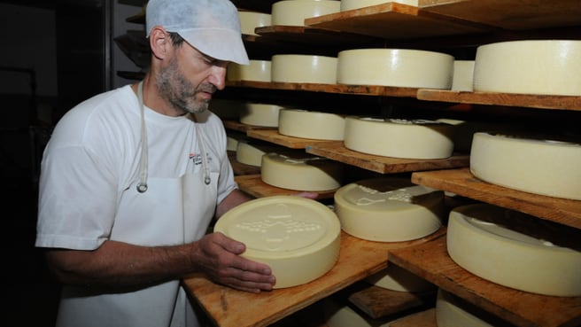 Immagine Mont Vully Käse / Fromage Mont Vully