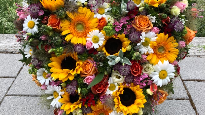 Bild Yellow-Blumen