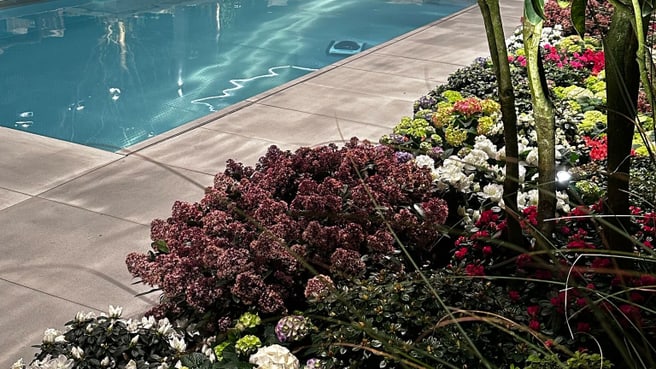 Bild Lutz Gärten & Schwimmbäder GmbH