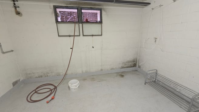 Spaar Maler GmbH image