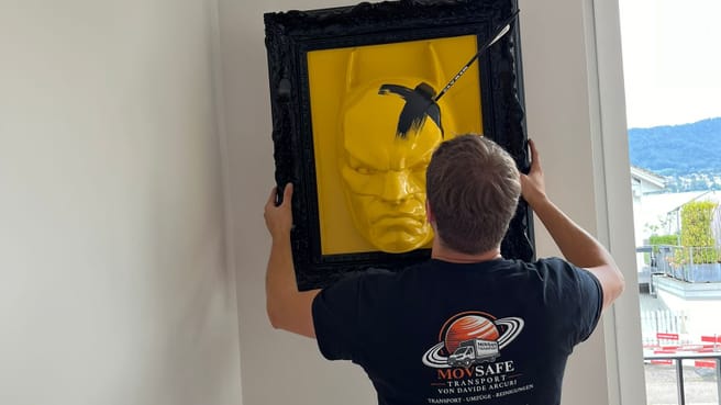 MovSafe Transport image