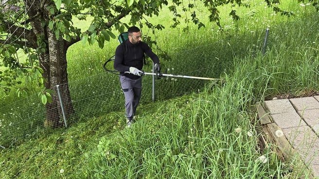 Immagine Molim Service