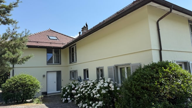 LiMi Peinture  Plâtrerie Peinture & Rénovation image