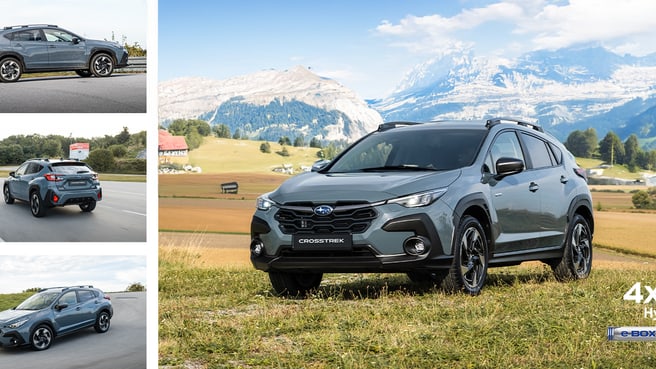 Immagine Devittori all cars plus SA