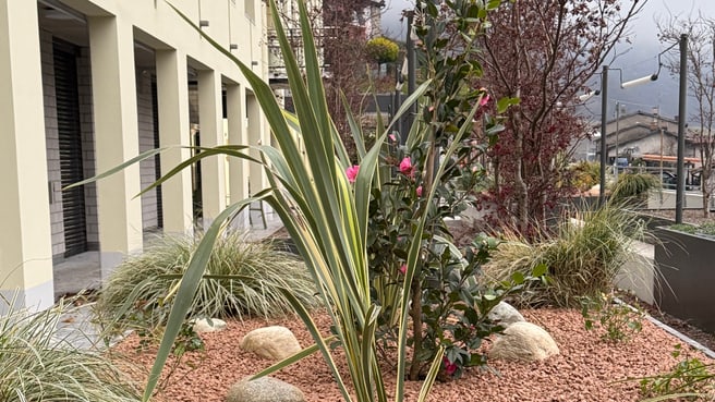 Image dolcemara sagl