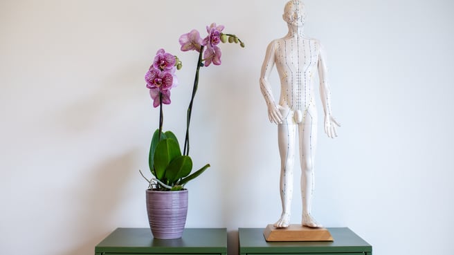 Bild cosmosan praxis für tcm & akupunktur zürich