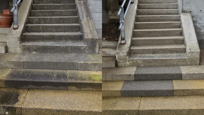 Immagine Molim Service