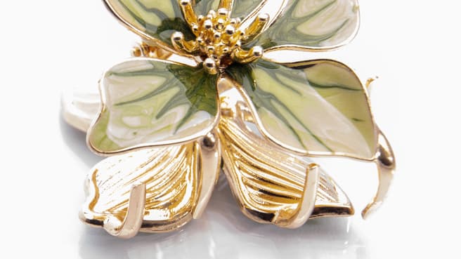 Immagine Fotostudio Ebneter